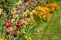 2025-05-09-062554-Sigy