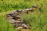 2025-05-10-062585-Sigy