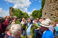 2025-05-10-062589-Sigy